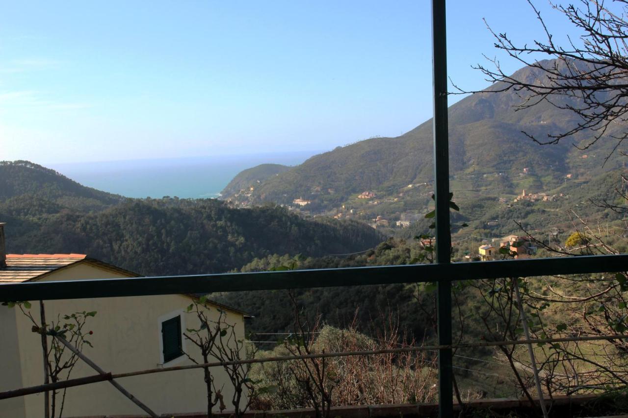 Cottage La Terrazza 莱万托 外观 照片