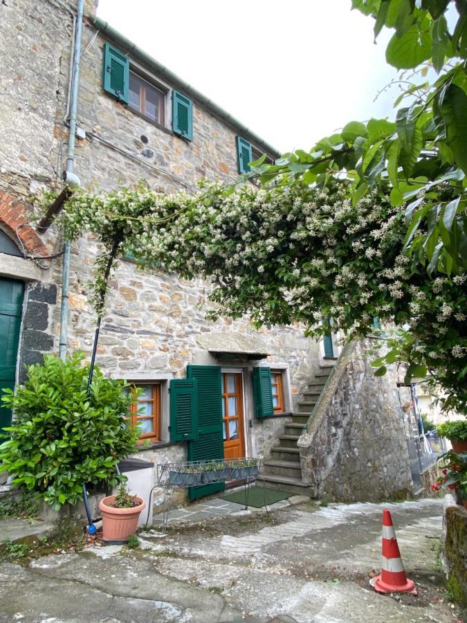 Cottage La Terrazza 莱万托 外观 照片