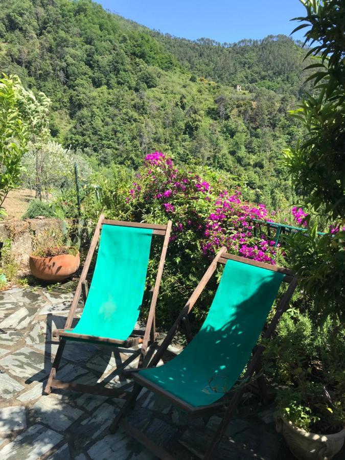Cottage La Terrazza 莱万托 外观 照片