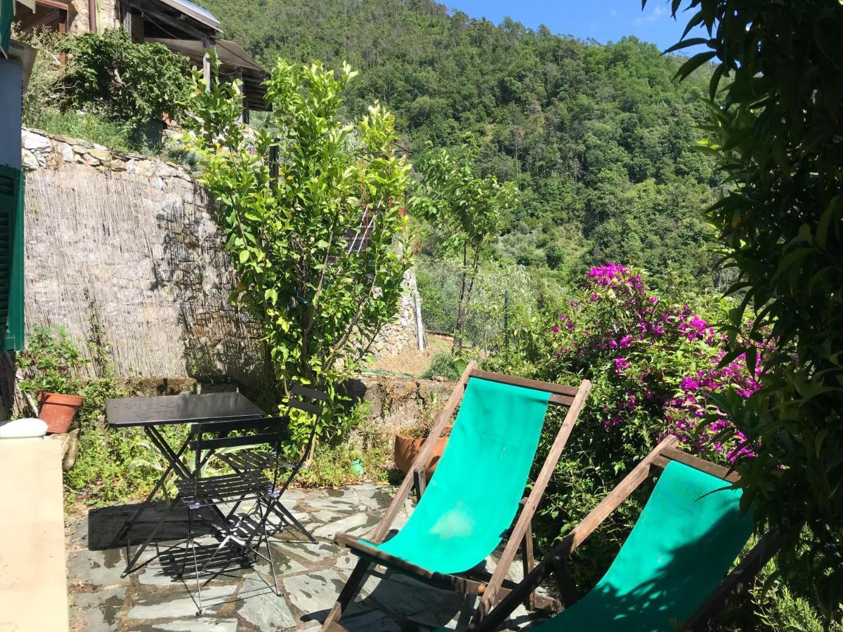 Cottage La Terrazza 莱万托 外观 照片