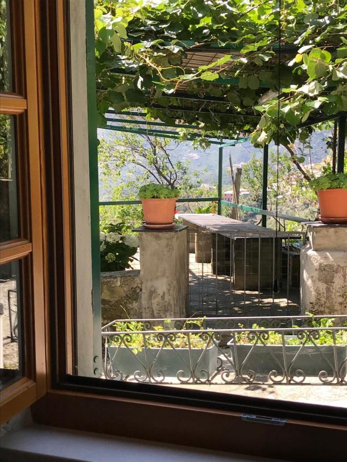 Cottage La Terrazza 莱万托 外观 照片
