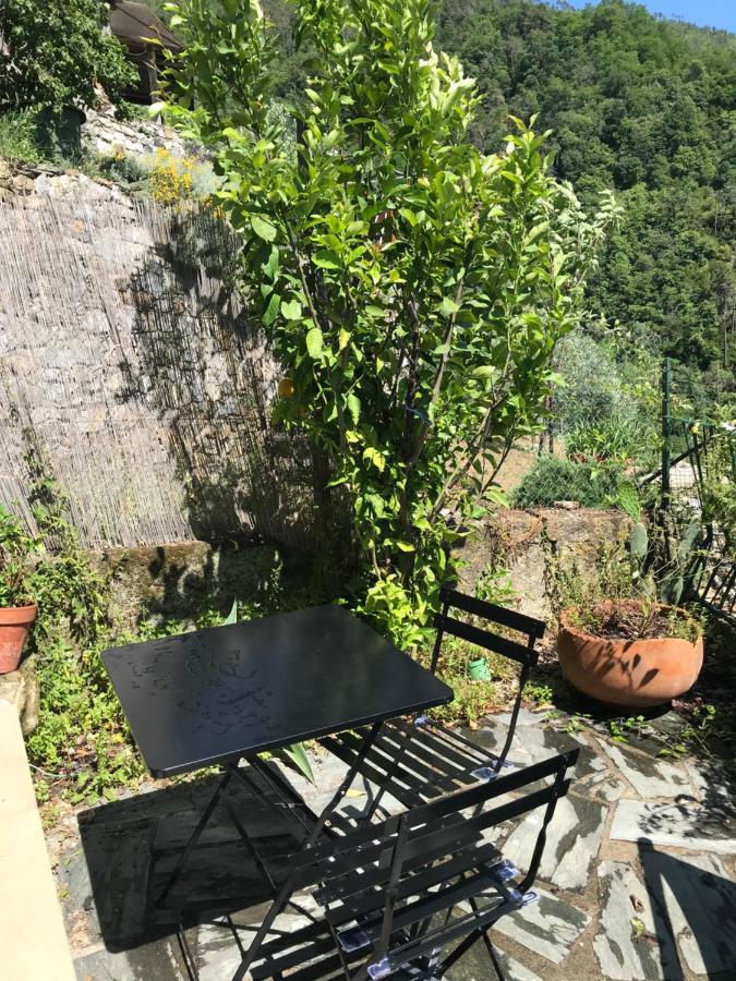Cottage La Terrazza 莱万托 外观 照片