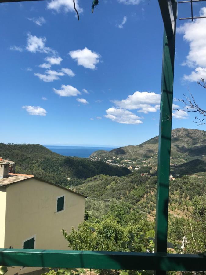 Cottage La Terrazza 莱万托 外观 照片