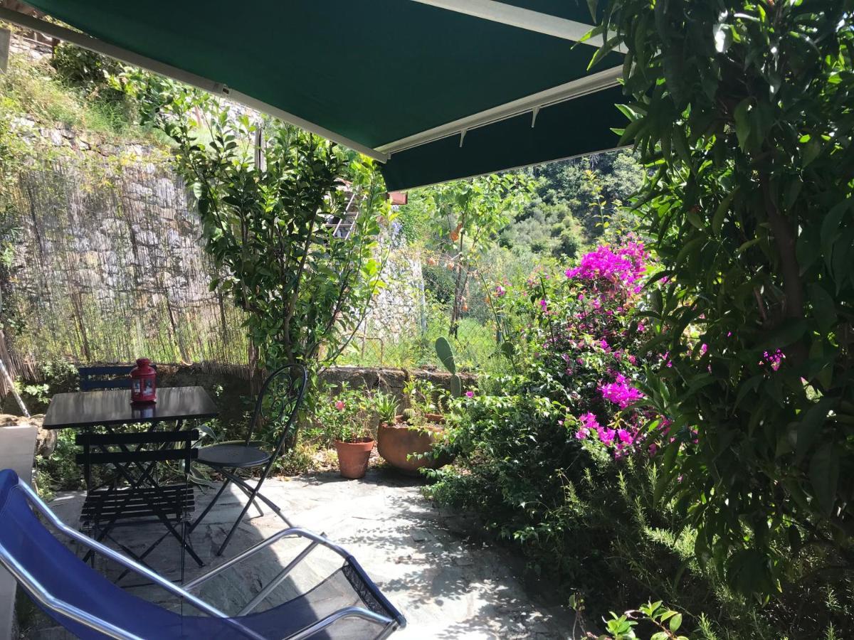 Cottage La Terrazza 莱万托 外观 照片