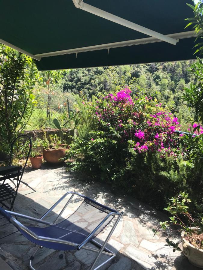 Cottage La Terrazza 莱万托 外观 照片